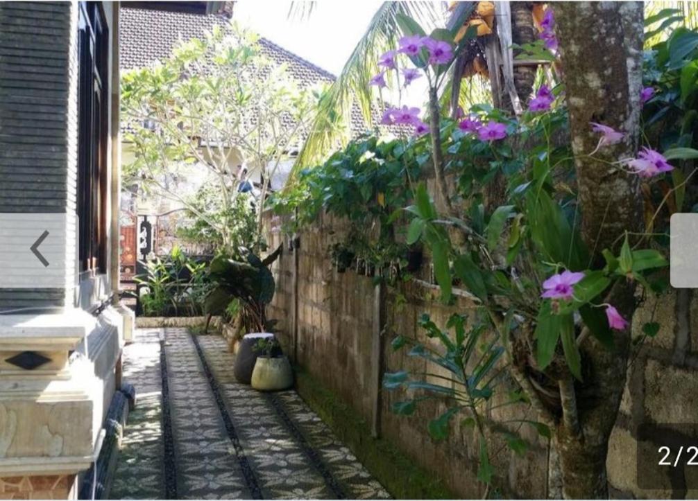 Kuwera Homestay Batununggul エクステリア 写真